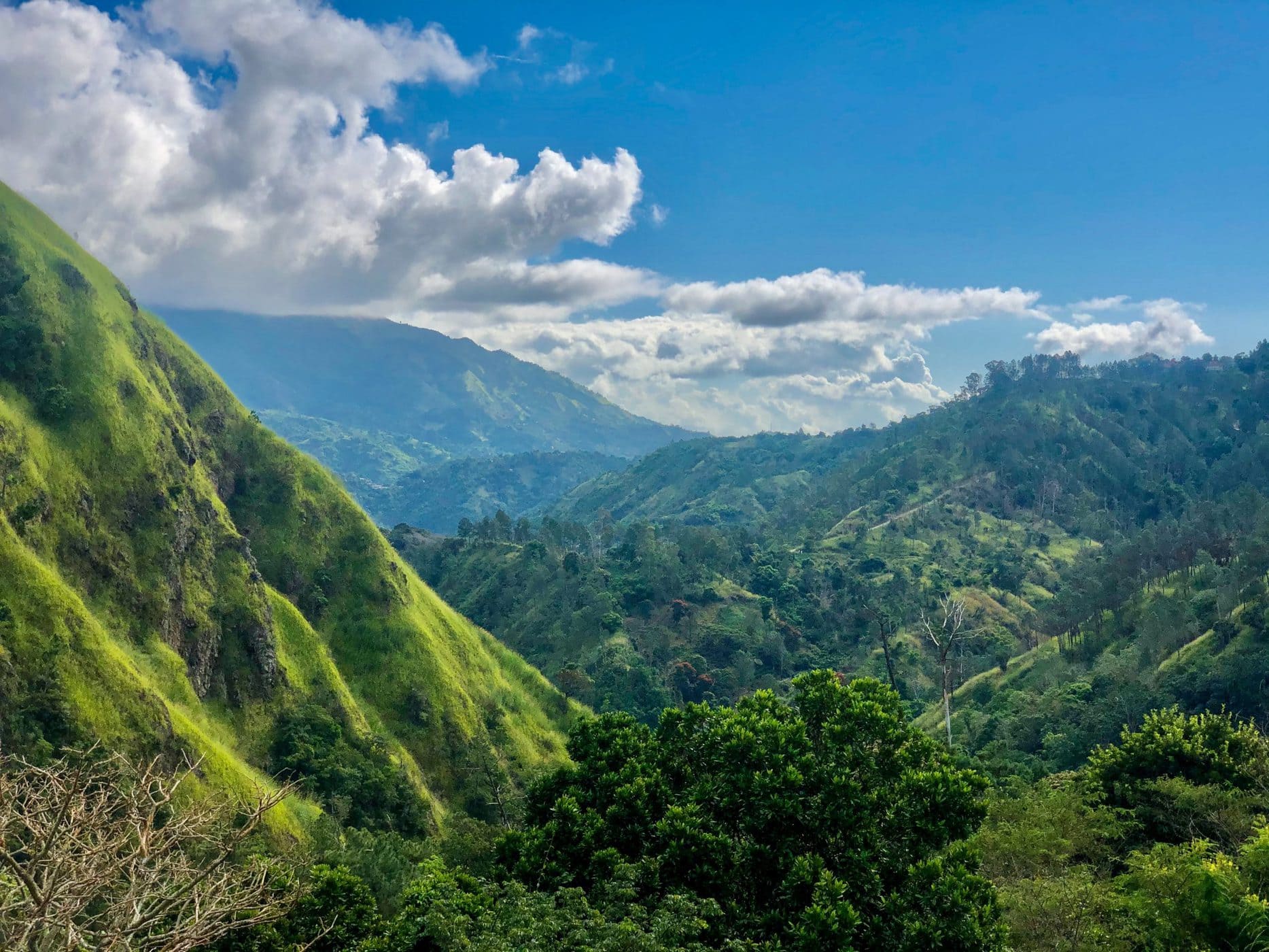 Cirkel erklære Soldat Top 5 Nature Places In Jamaica - Travellitza Personal Guide - Travellitza